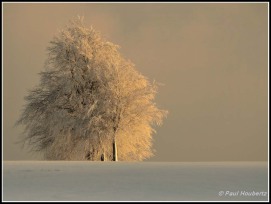 © Paul Houbertz | Fotoclub 2000 Aachen