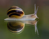 Urheber: Thomas Hebbeker | Fotoclub 2000 Aachen