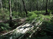 Fotoclub 2000 Aachen