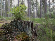 Fotoclub 2000 Aachen