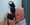 Fotoclub 2000 Aachen
