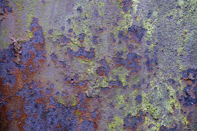 © Richard Becker / Fotoclub 2000 Aachen